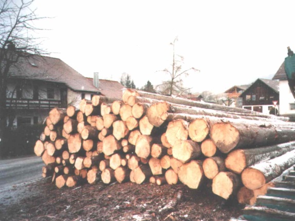 Mondholz Mondphasenholz